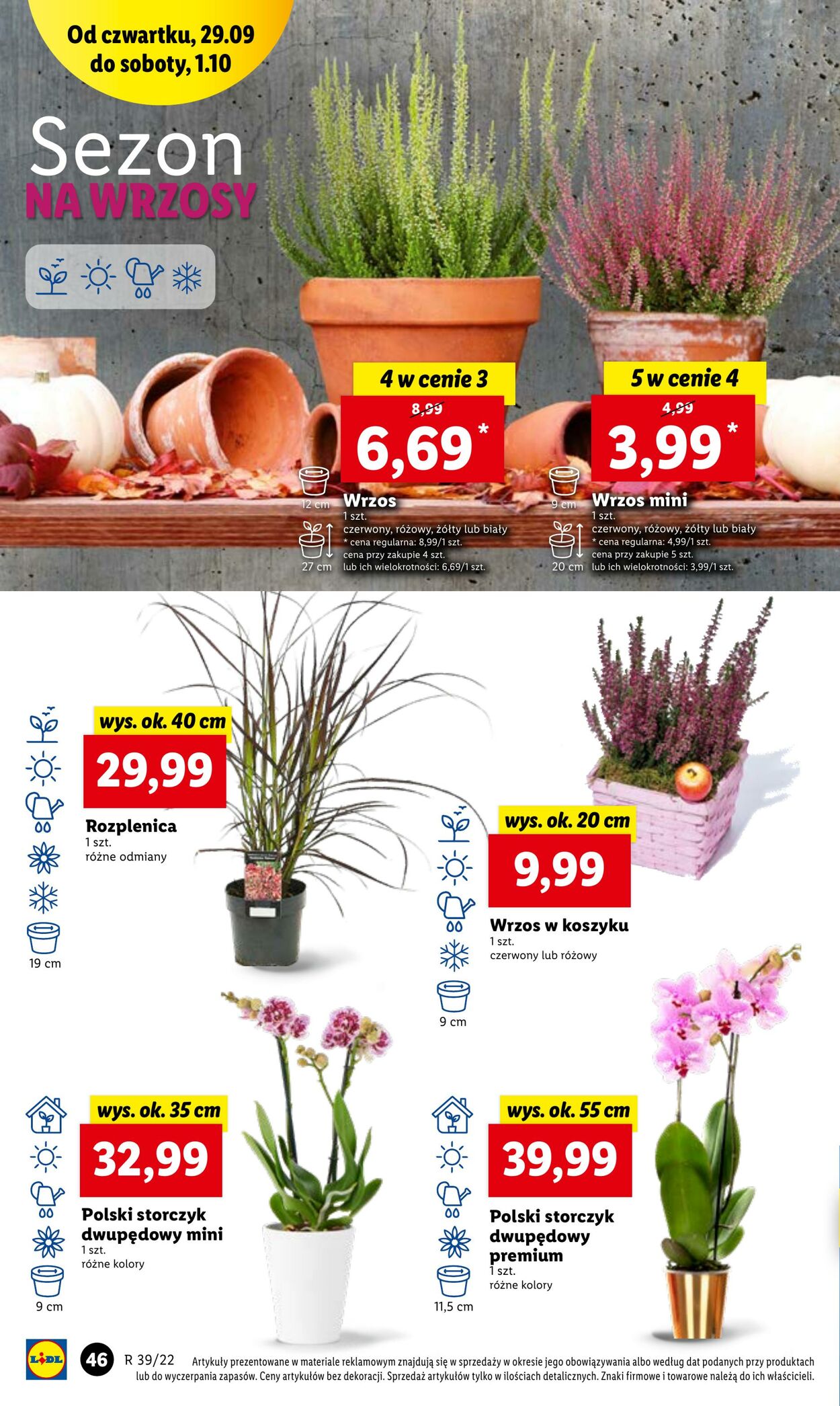 Gazetka Lidl 29.09.2022 - 01.10.2022