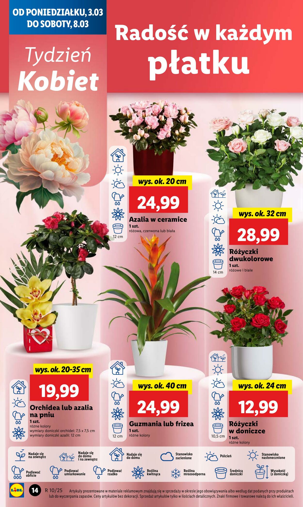 Gazetka Lidl 03.03.2025 - 05.03.2025