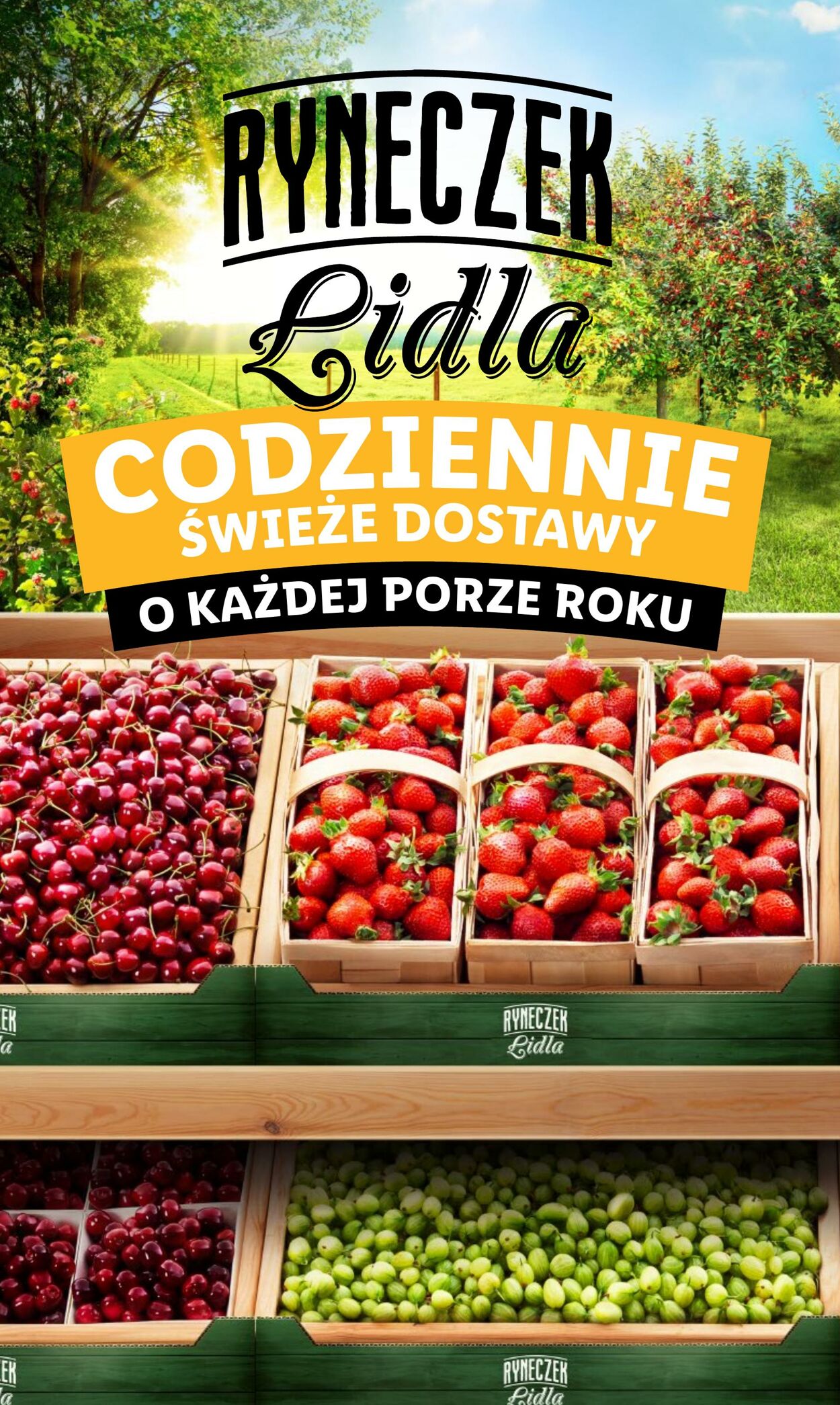 Gazetka Lidl 03.07.2023 - 05.07.2023