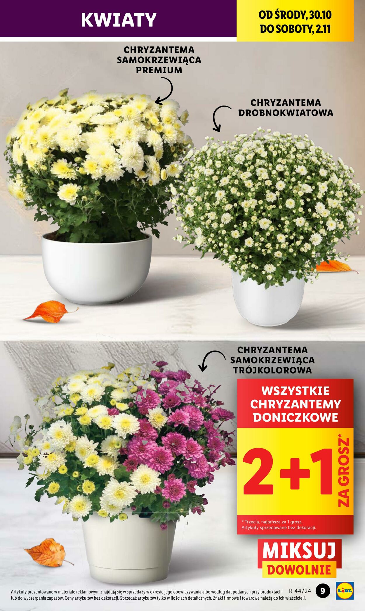 Gazetka Lidl 30.10.2024 - 02.11.2024