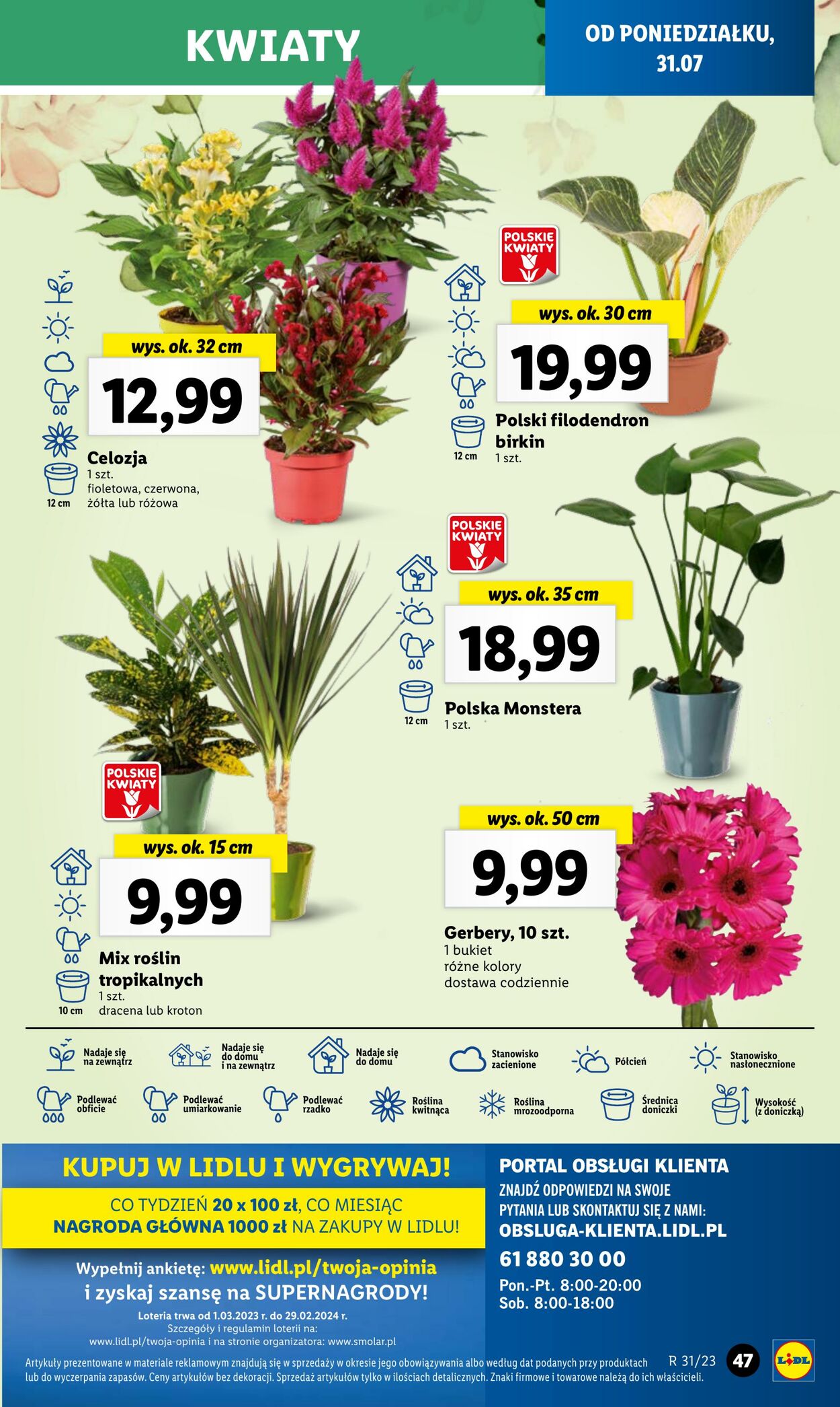 Gazetka Lidl 31.07.2023 - 05.08.2023