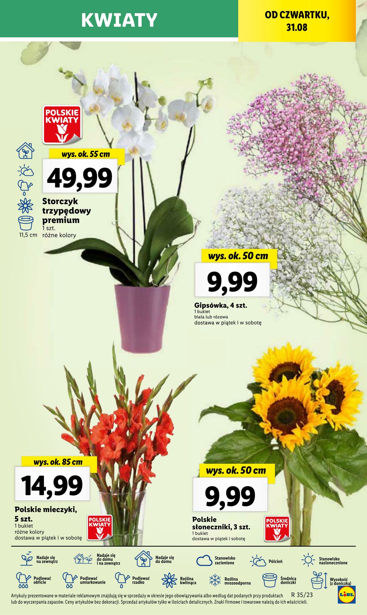 Gazetka Lidl 31.08.2023 - 02.09.2023