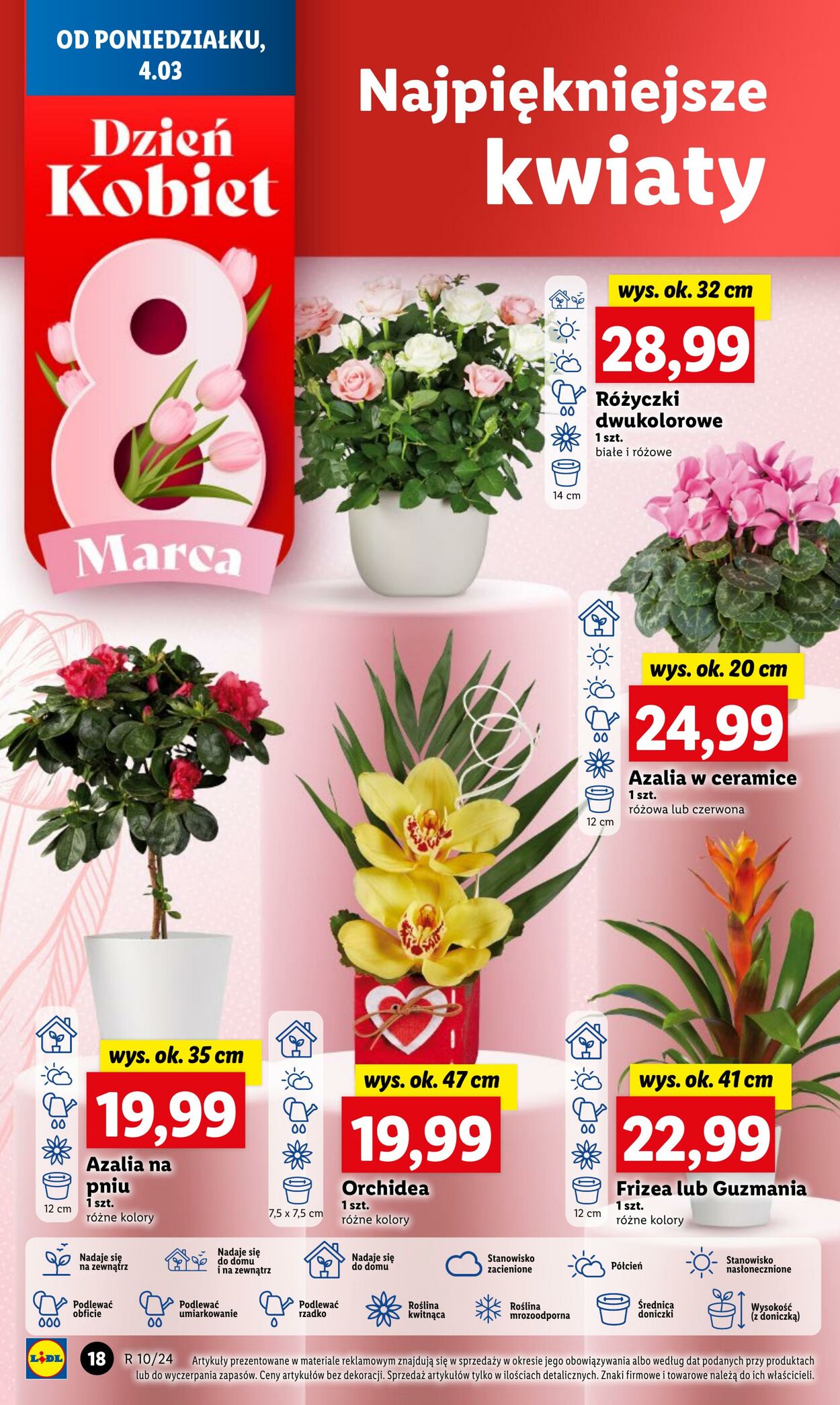 Gazetka Lidl 04.03.2024 - 06.03.2024