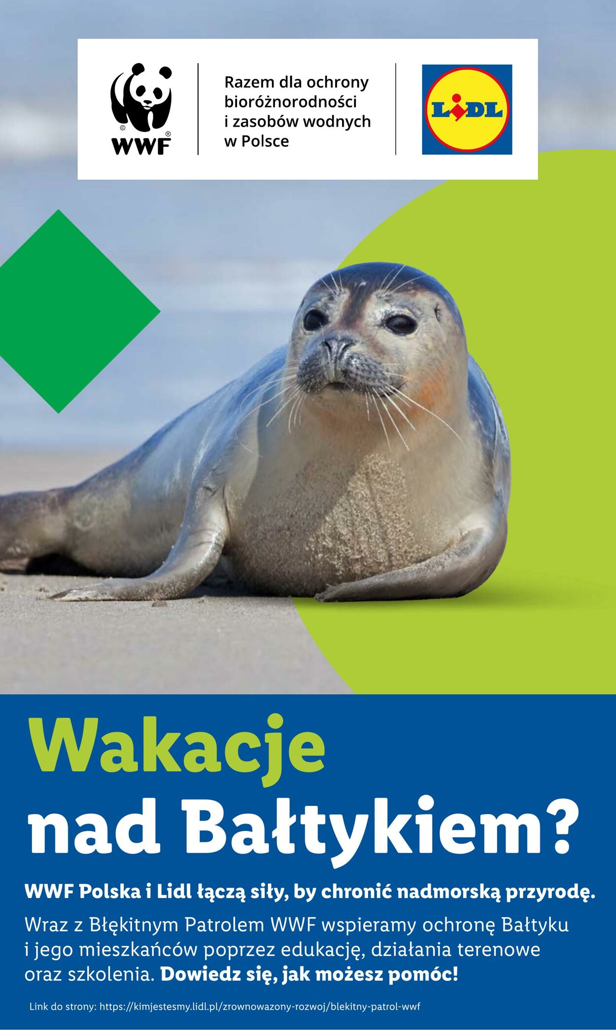 Gazetka Lidl 04.08.2025 - 10.08.2025
