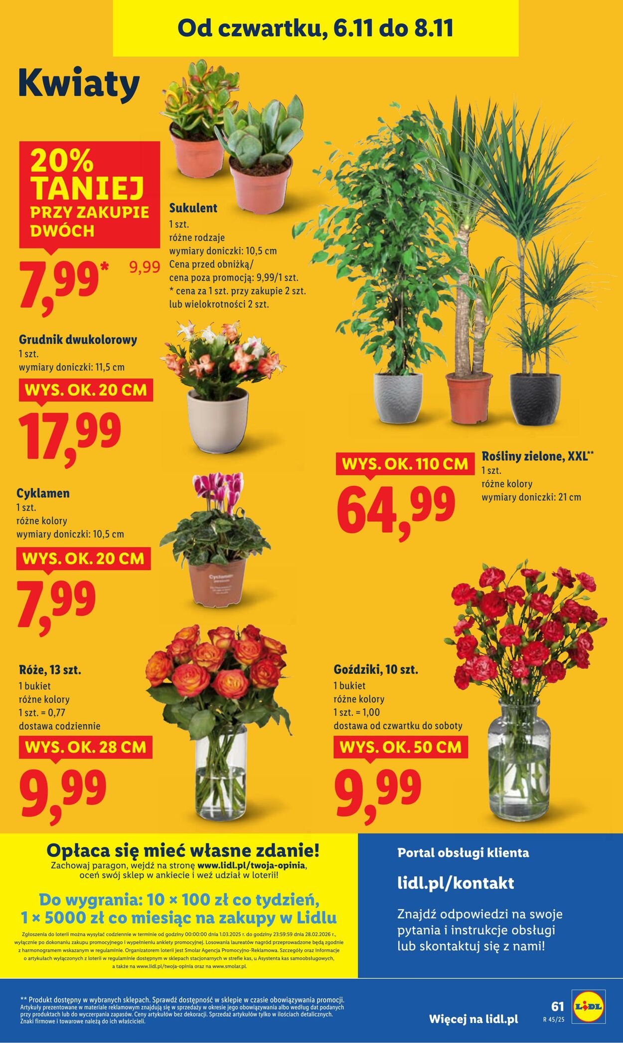 Gazetka Lidl 06.11.2025 - 08.11.2025