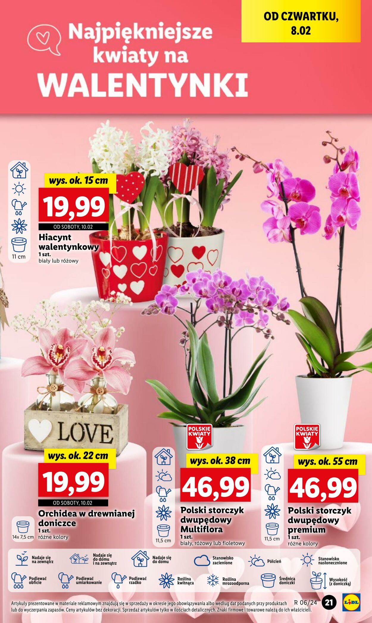 Gazetka Lidl 08.02.2024 - 10.02.2024