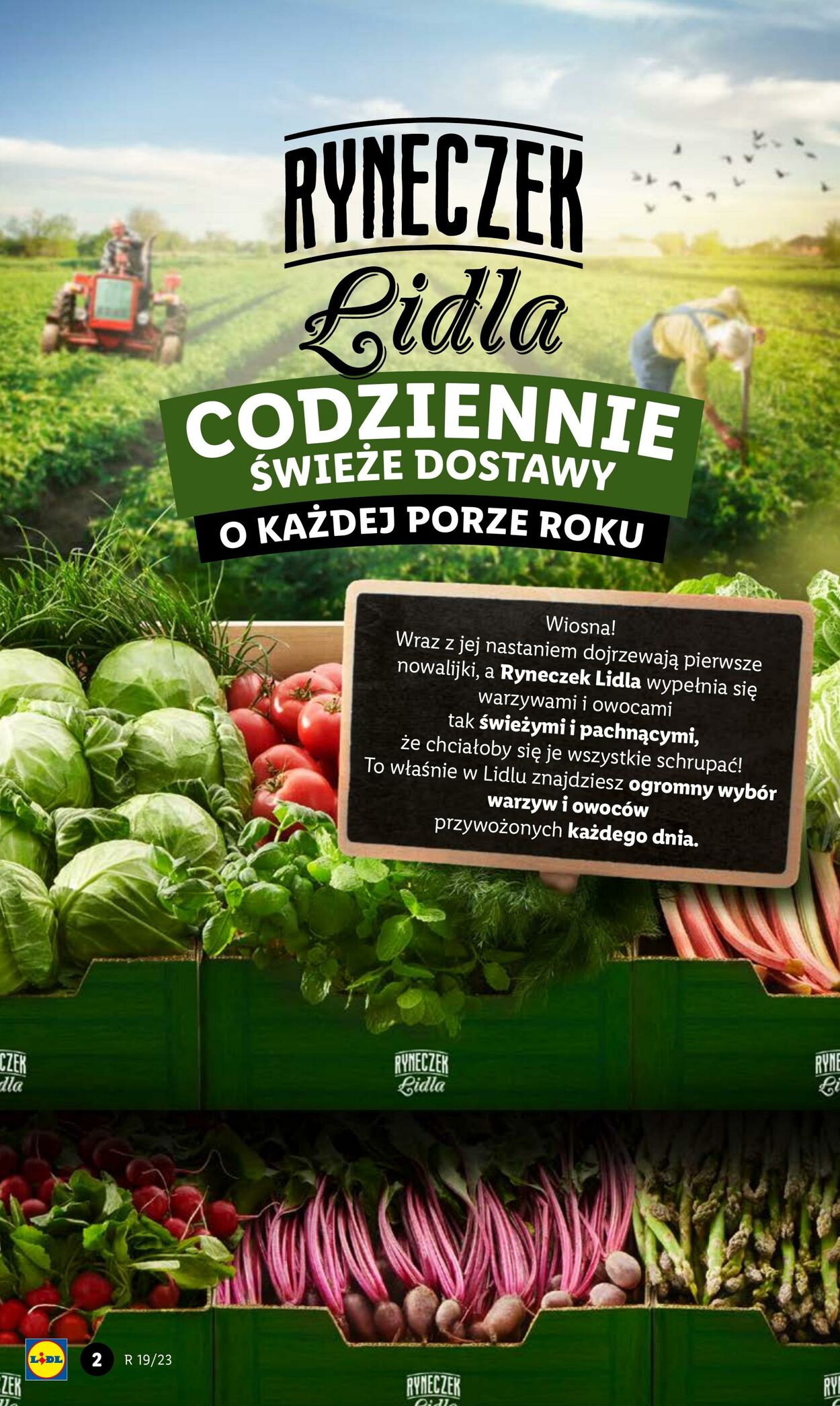 Gazetka Lidl 08.05.2023 - 10.05.2023