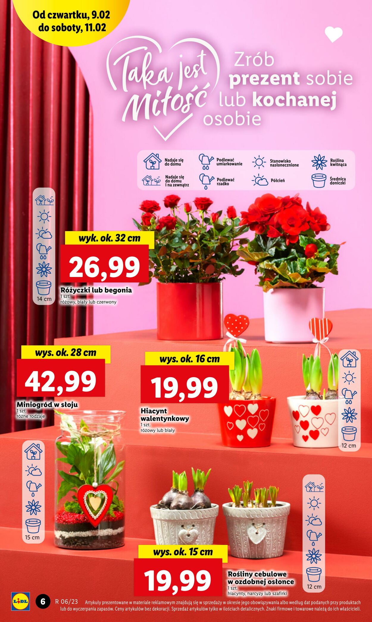 Gazetka Lidl 09.02.2023 - 11.02.2023