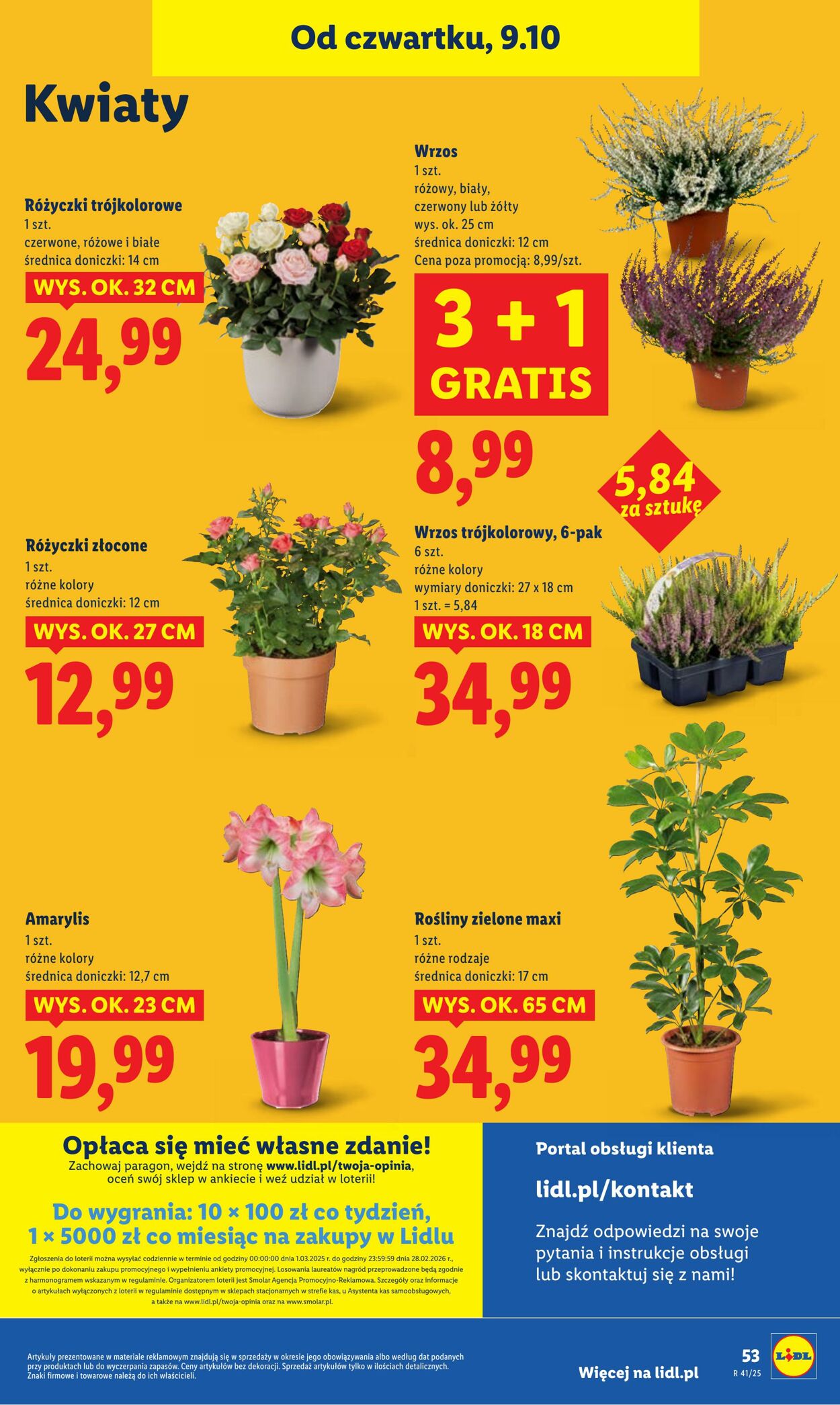 Gazetka Lidl 09.10.2025 - 11.10.2025