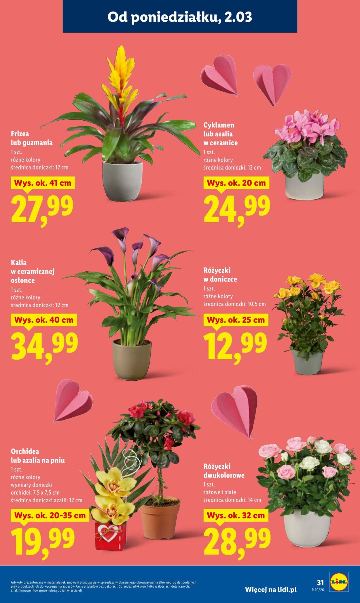 Gazetka Lidl 02.03.2026 - 04.03.2026