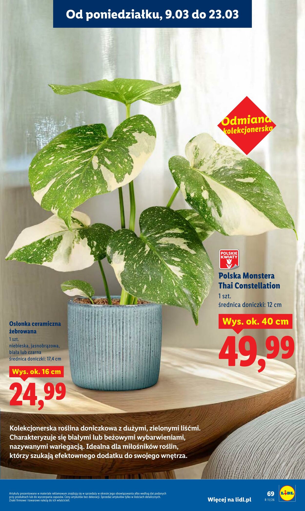 Gazetka Lidl 09.03.2026 - 11.03.2026