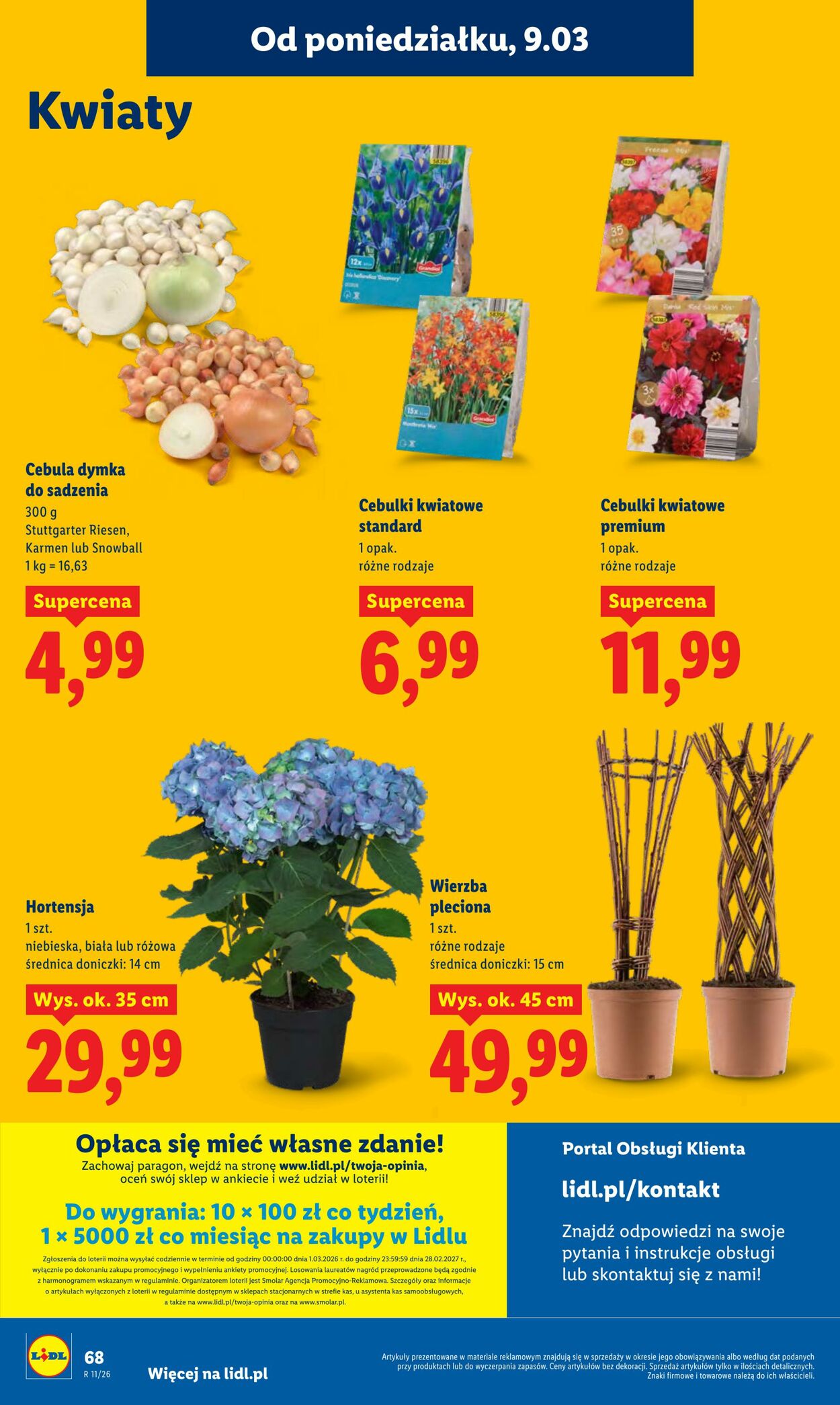 Gazetka Lidl 09.03.2026 - 11.03.2026