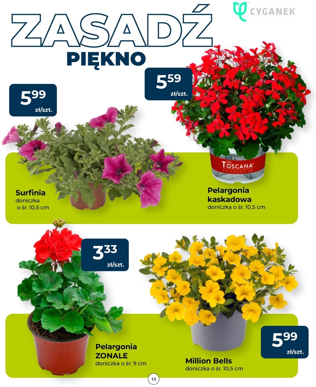 Gazetka Mrówka 23.04.2026 - 02.05.2026