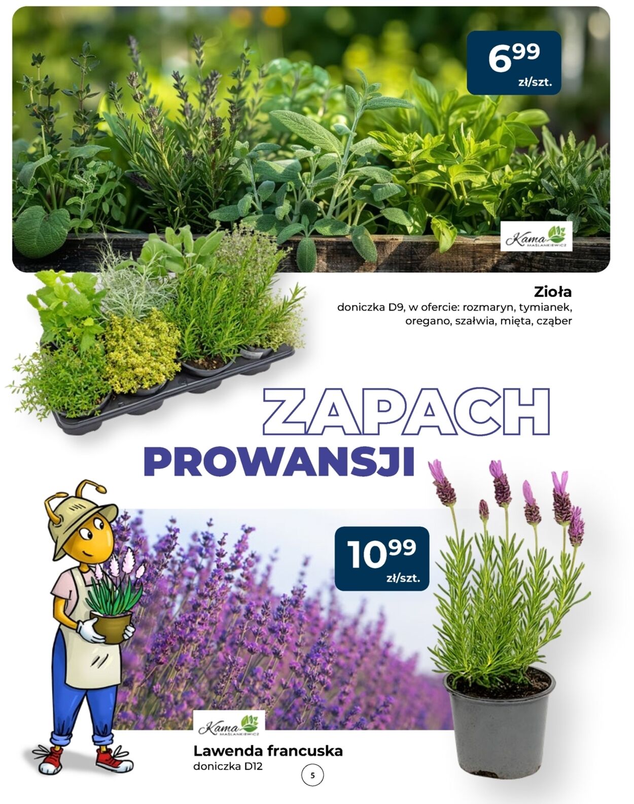 Gazetka Mrówka 14.05.2026 - 23.05.2026