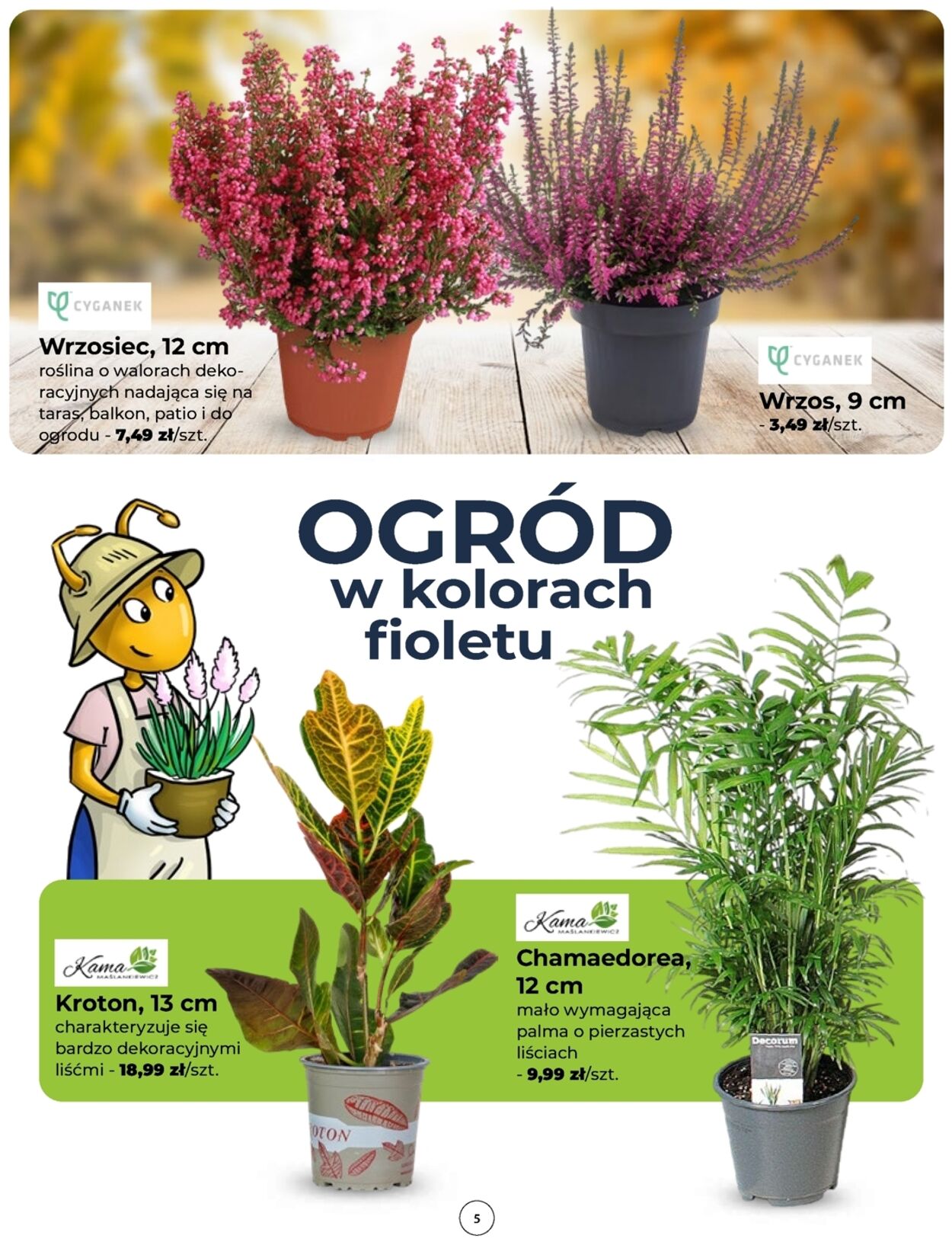 Gazetka Mrówka 11.09.2025 - 20.09.2025
