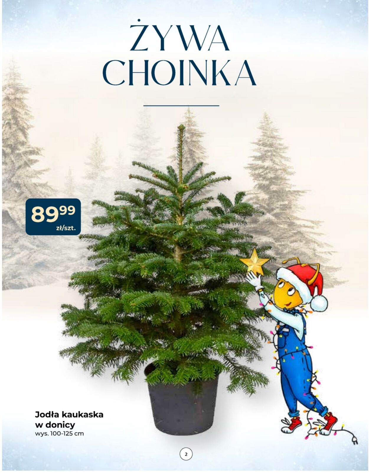 Gazetka Mrówka 04.12.2025 - 14.12.2025