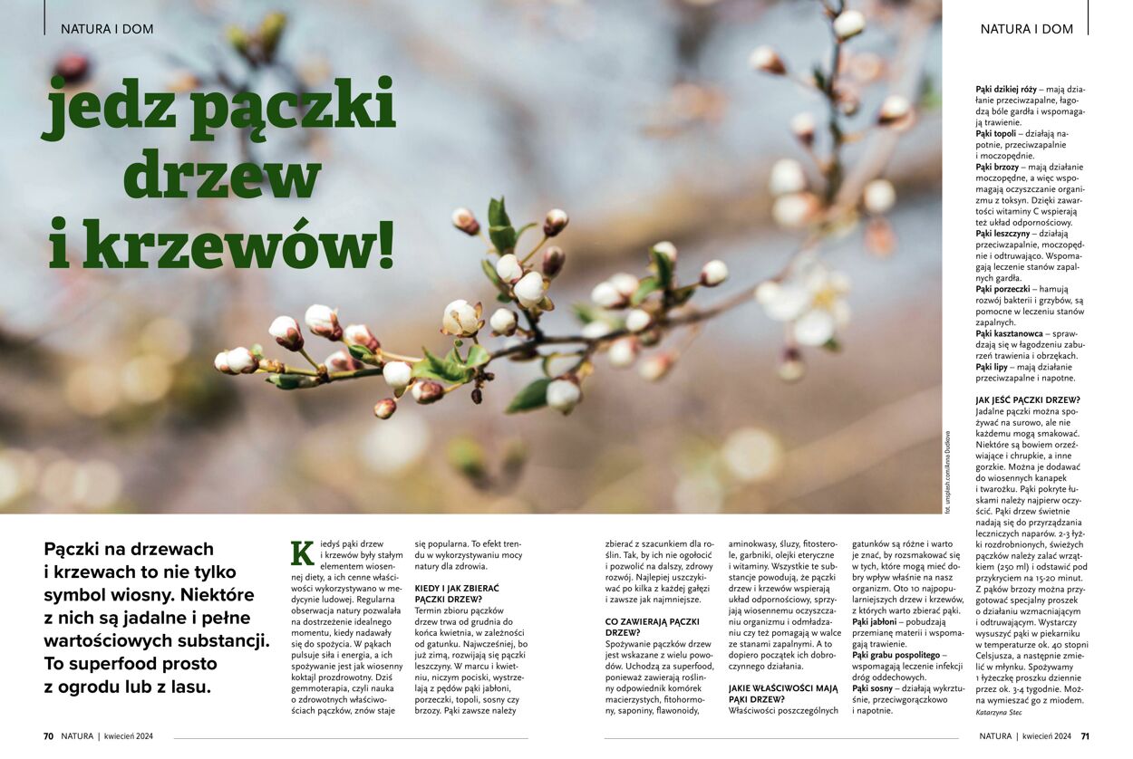 Gazetka Natura 01.04.2024 - 30.04.2024