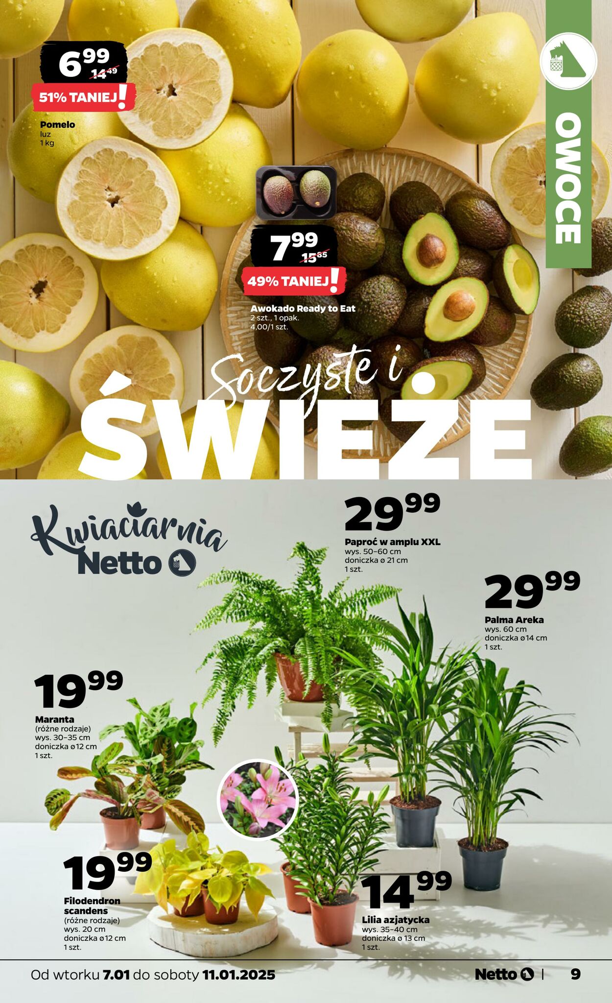 Gazetka Netto 07.01.2025 - 11.01.2025