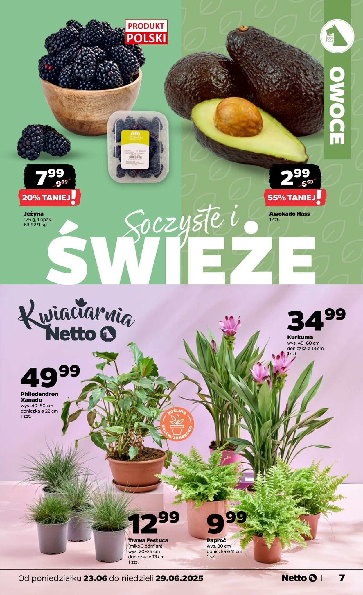 Gazetka Netto 23.06.2025 - 29.06.2025