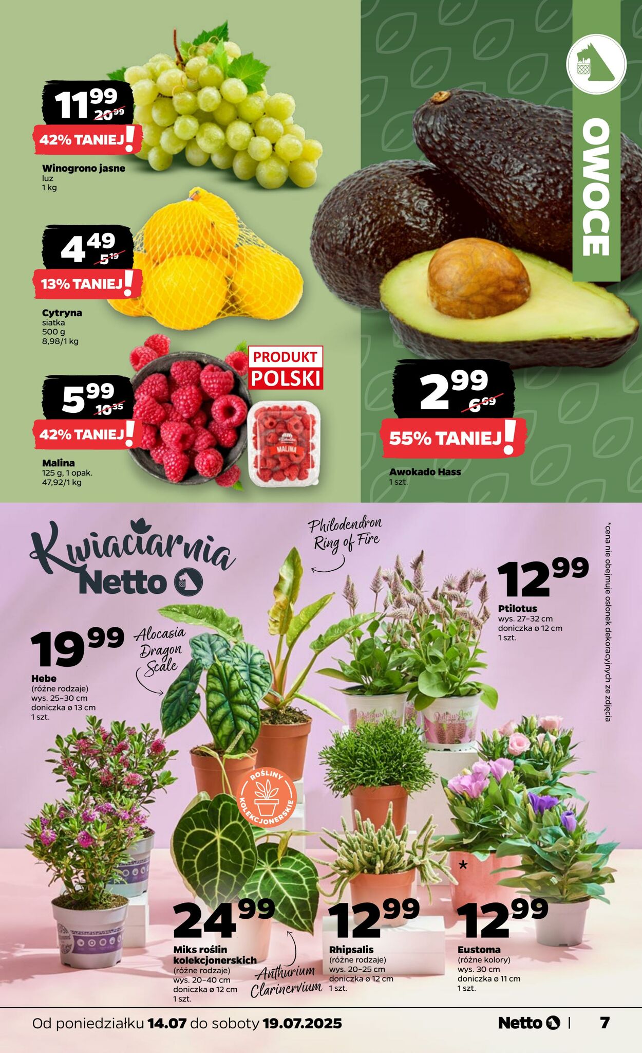 Gazetka Netto 14.07.2025 - 19.07.2025
