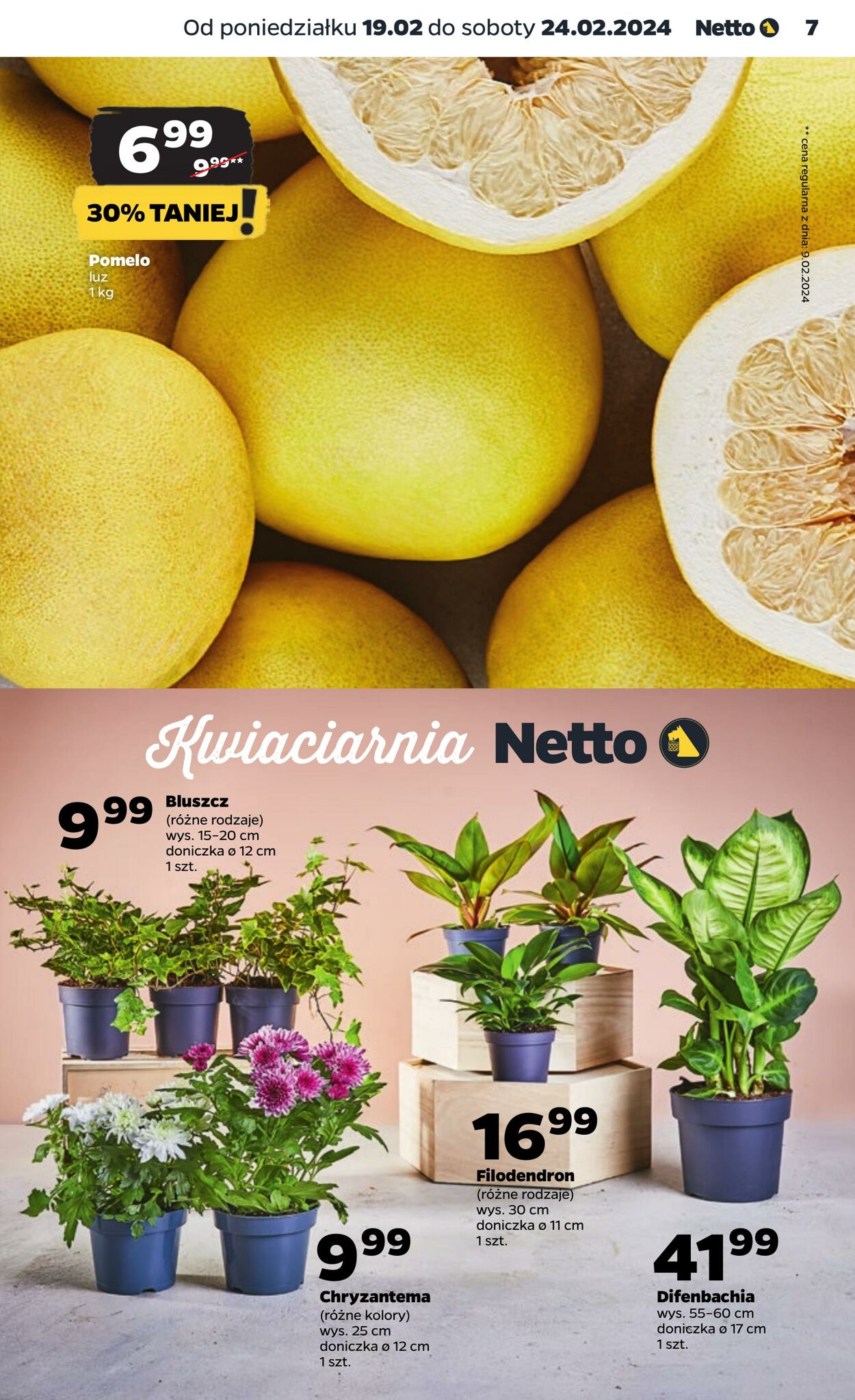 Gazetka Netto 19.02.2024 - 24.02.2024