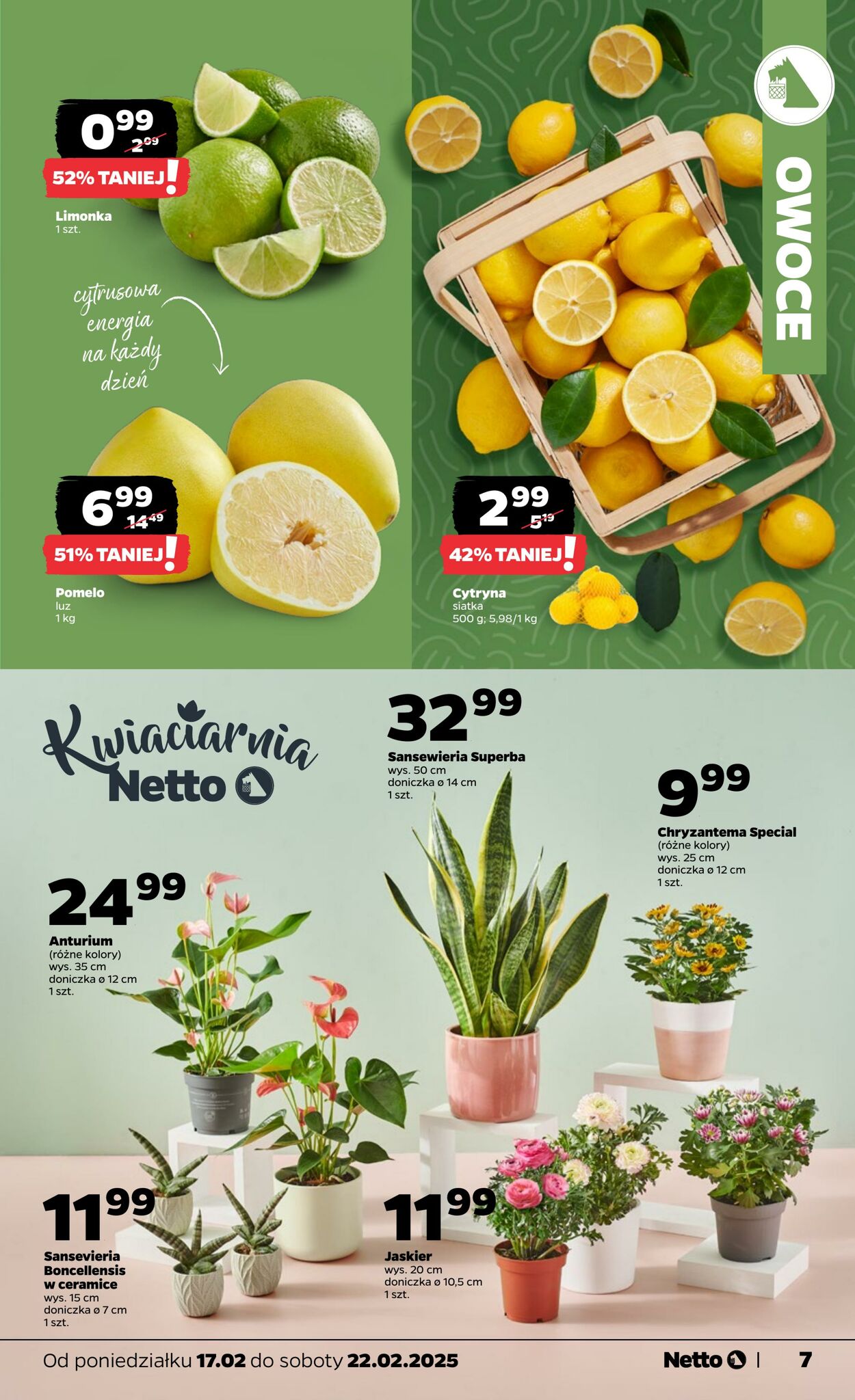 Gazetka Netto 17.02.2025 - 22.02.2025