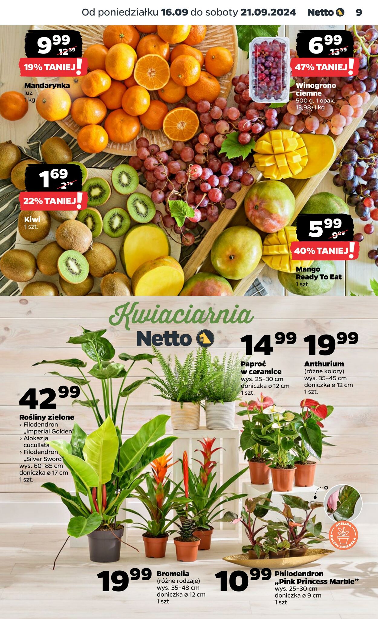 Gazetka Netto 16.09.2024 - 21.09.2024