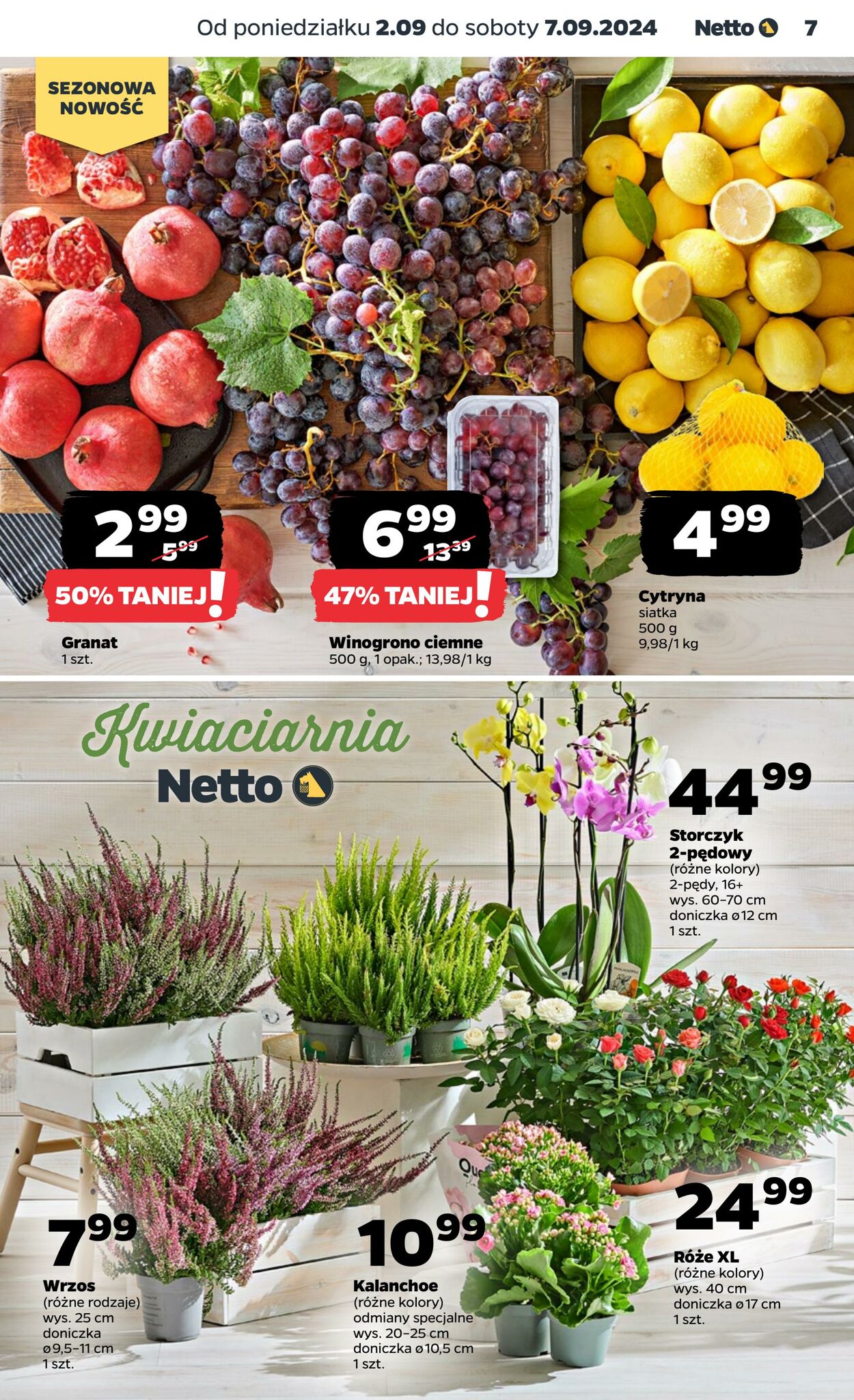 Gazetka Netto 02.09.2024 - 07.09.2024