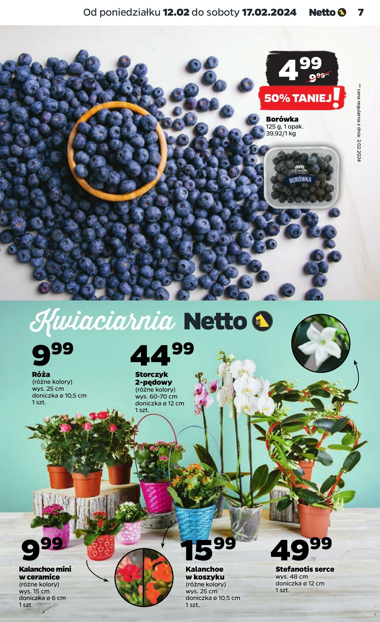 Gazetka Netto 12.02.2024 - 17.02.2024