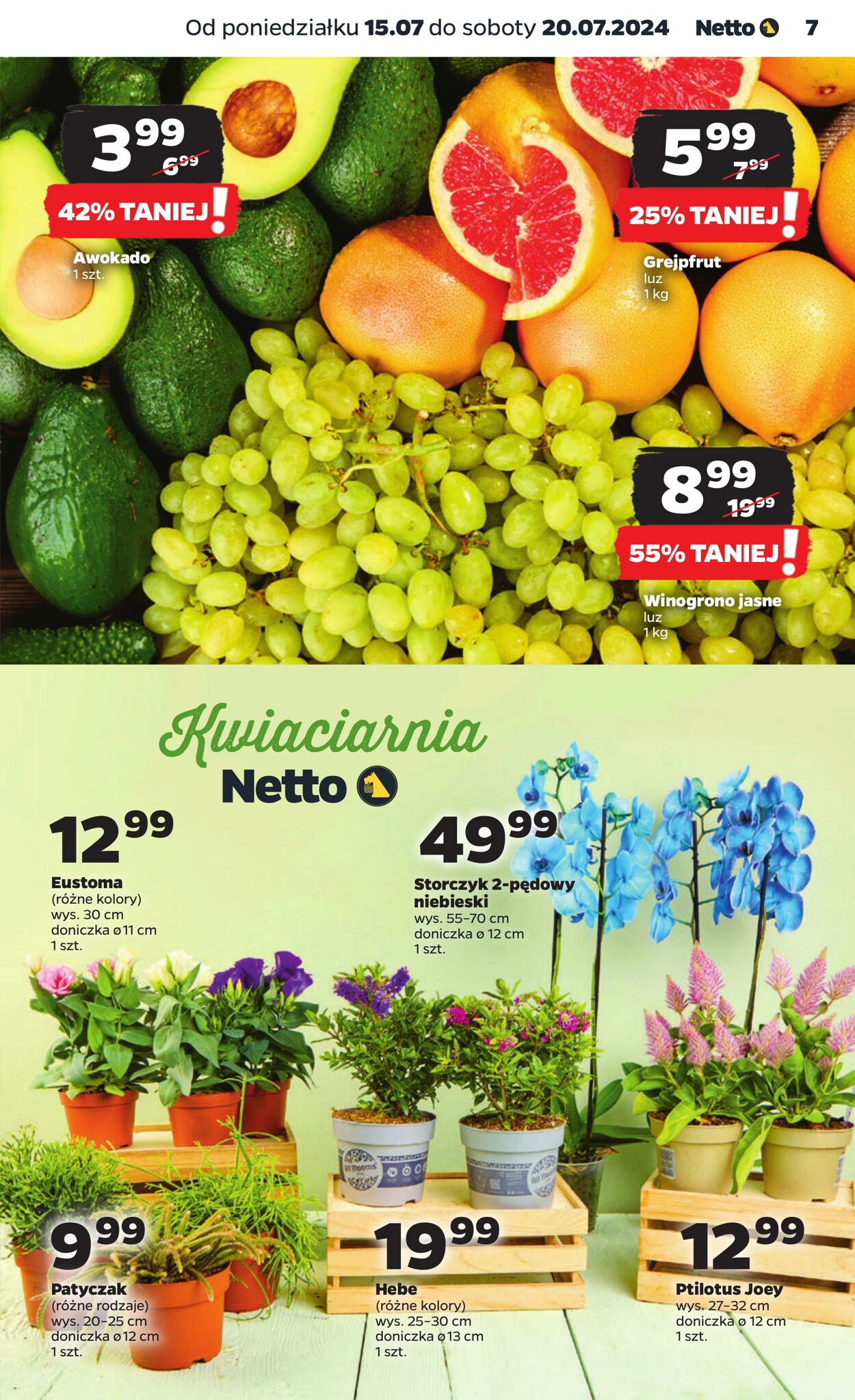 Gazetka Netto 15.07.2024 - 20.07.2024