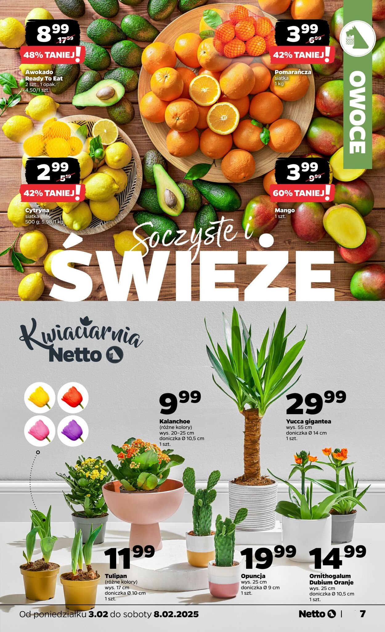 Gazetka Netto 03.02.2025 - 08.02.2025