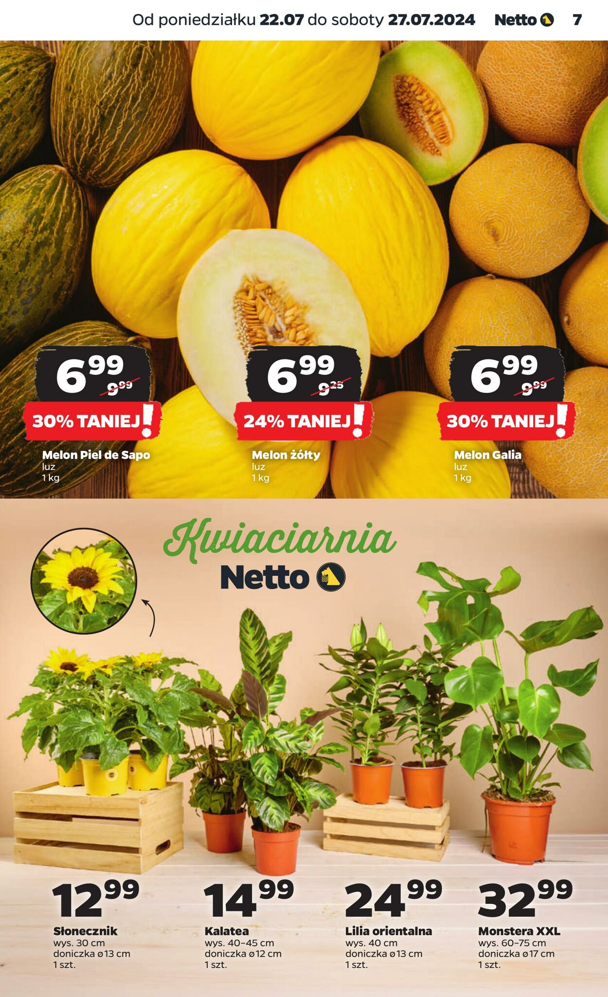 Gazetka Netto 22.07.2024 - 27.07.2024