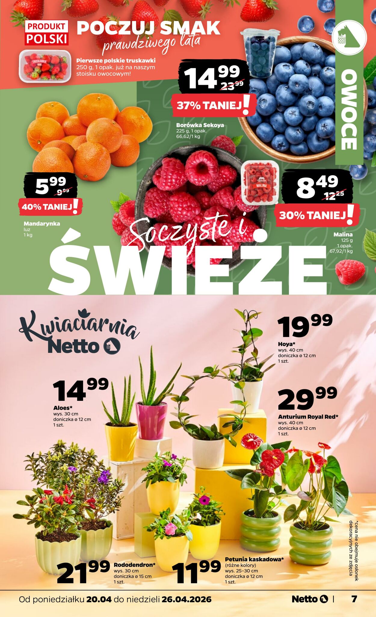 Gazetka Netto 19.04.2026 - 26.04.2026
