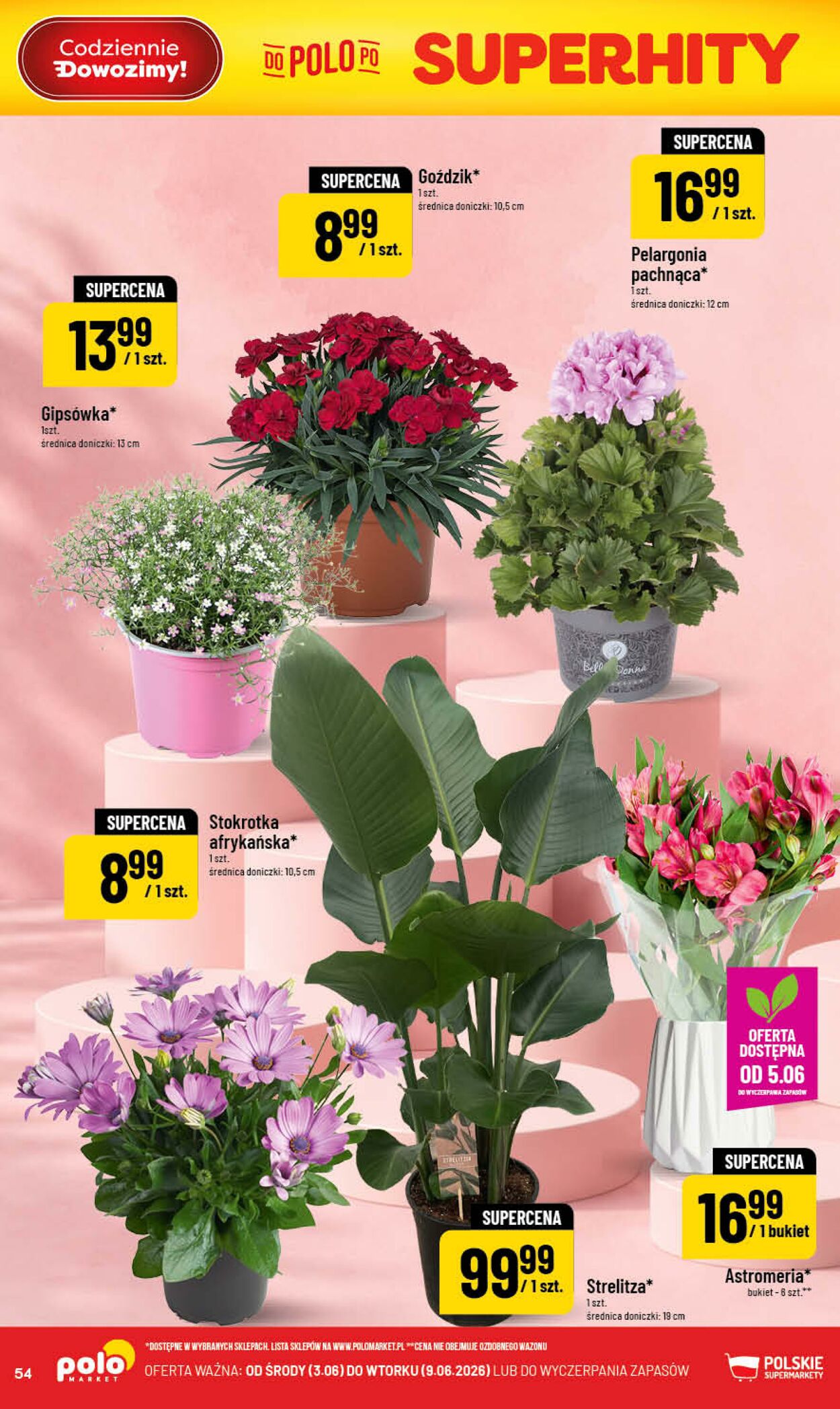 Gazetka POLOmarket 03.06.2026 - 09.06.2026