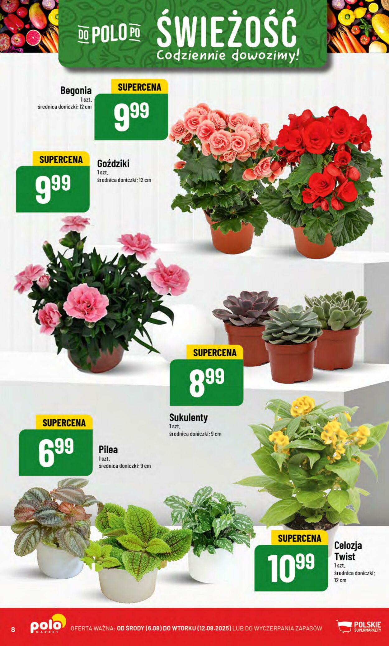 Gazetka POLOmarket 06.08.2025 - 12.08.2025