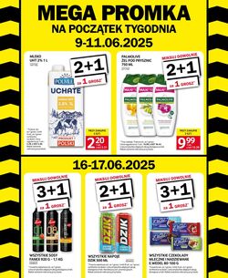 Gazetka Selgros 09.06.2025 - 11.06.2025