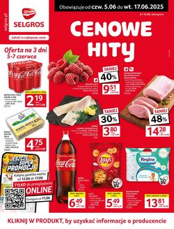 Gazetka Selgros 05.06.2025 - 17.06.2025