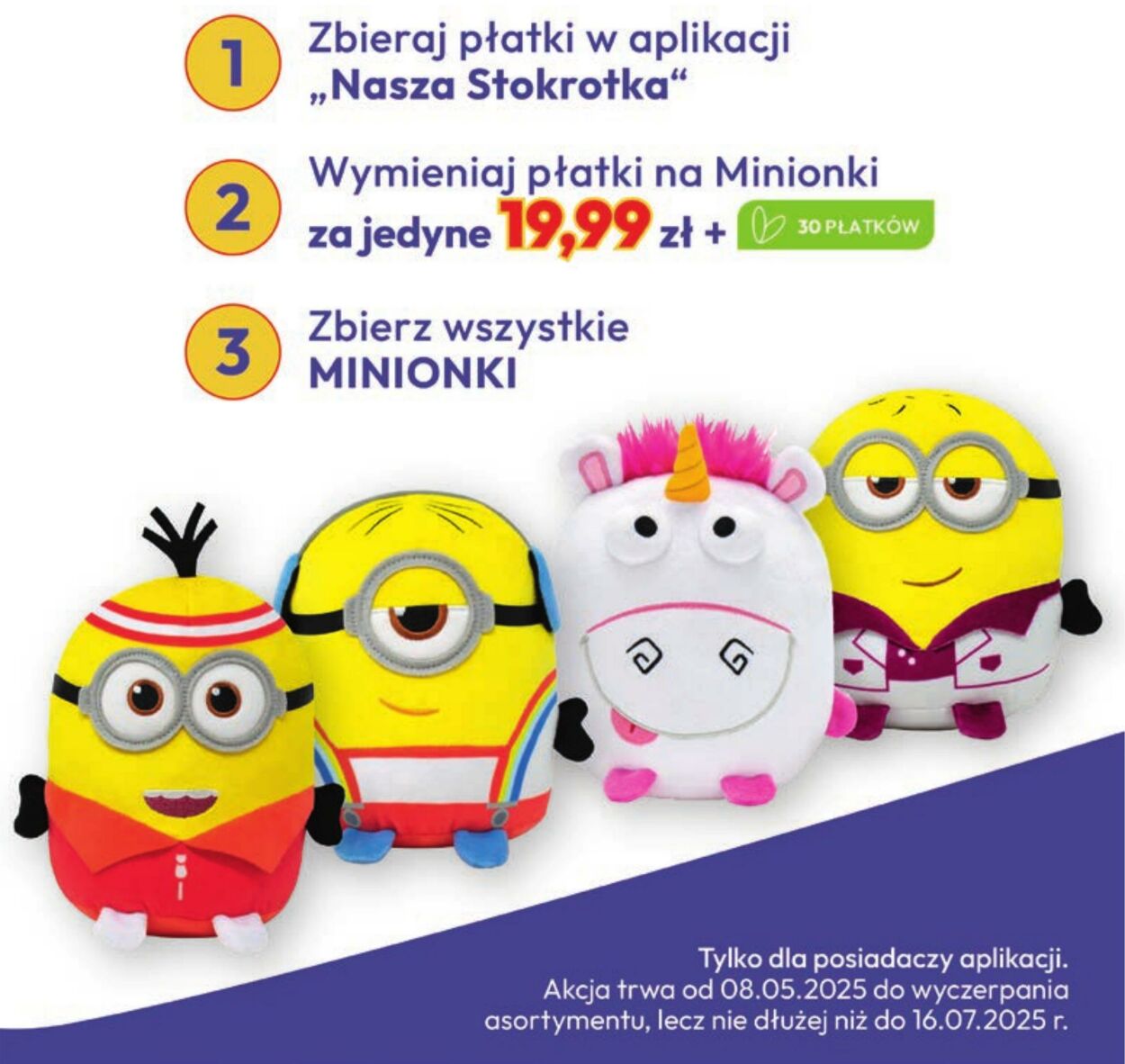 Gazetka Stokrotka 12.06.2025 - 25.06.2025