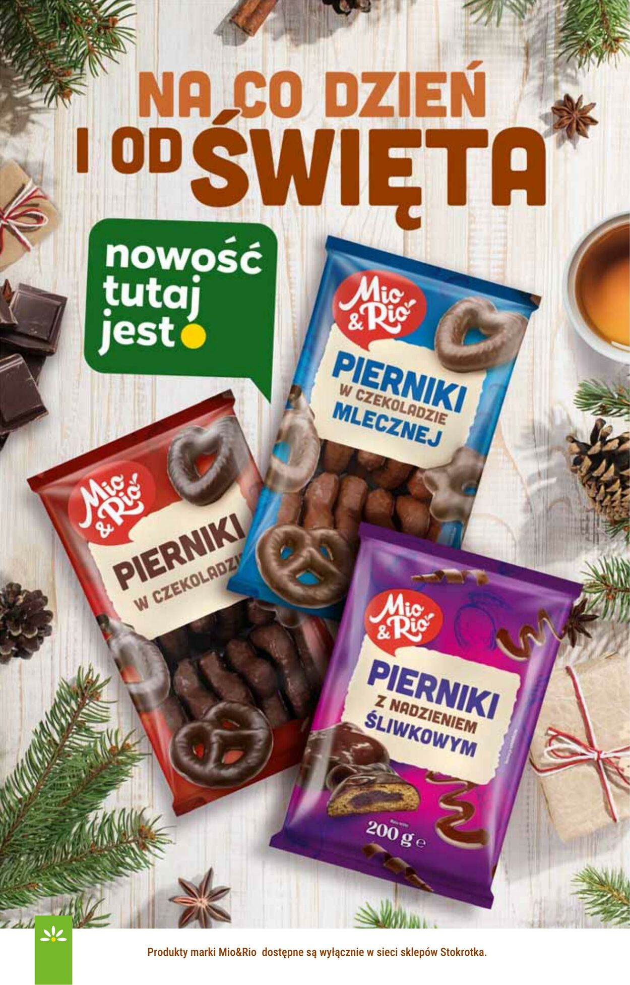 Gazetka Stokrotka 13.11.2025 - 19.11.2025