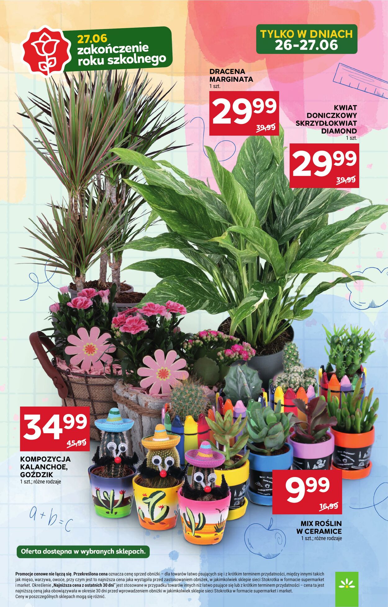 Gazetka Stokrotka 26.06.2025 - 02.07.2025