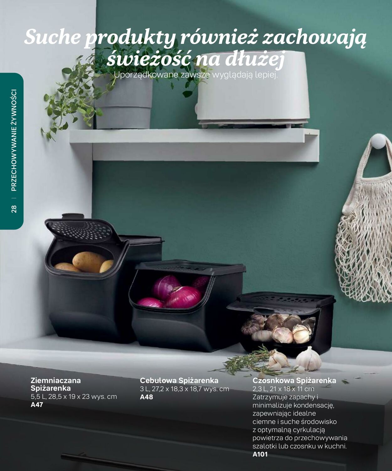 Gazetka Tupperware 01.12.2022 - 28.02.2023