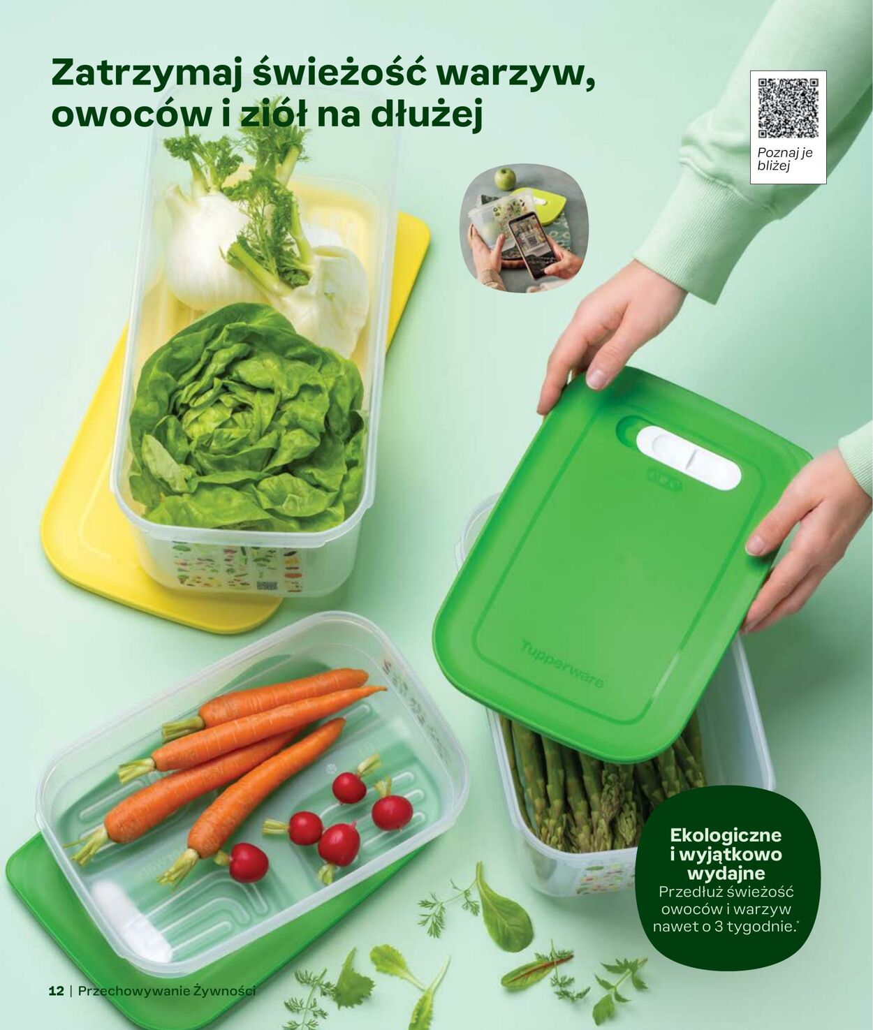 Gazetka Tupperware 03.09.2024 - 03.01.2025