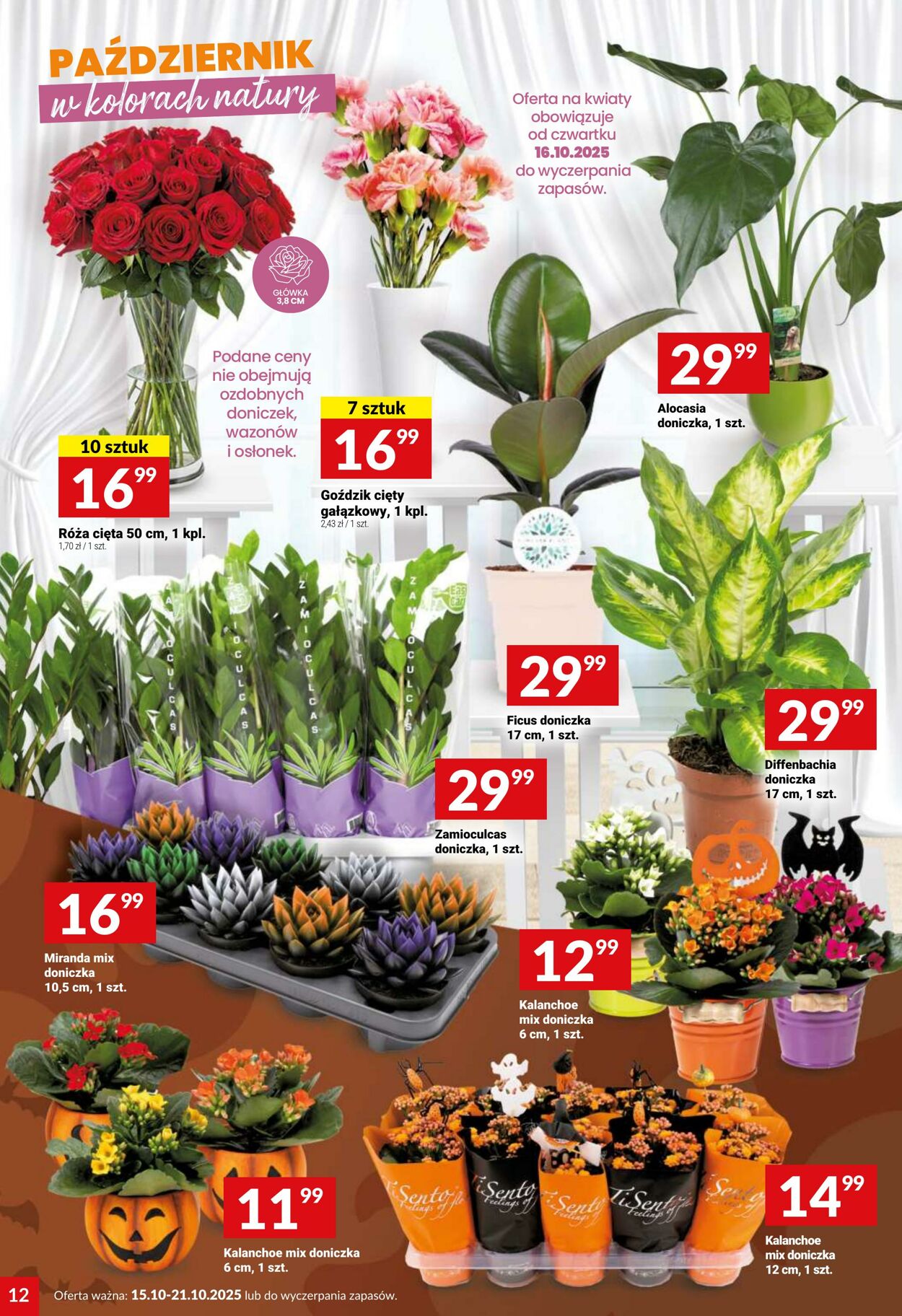 Gazetka Twój Market 15.10.2025 - 21.10.2025